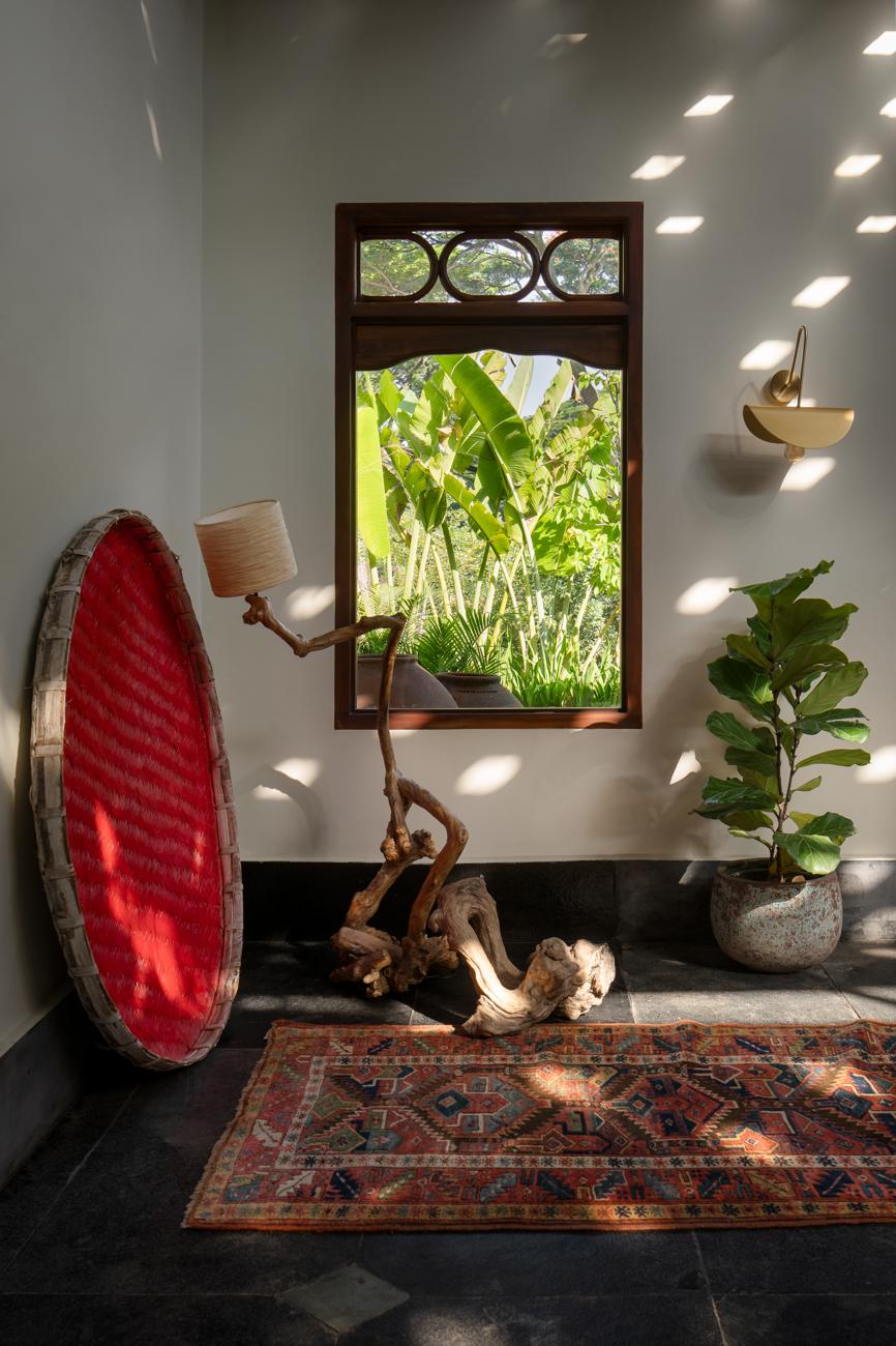 Corner with a large red woven basket, a driftwood lamp, a fiddle-leaf fig and a vintage rug beside a carved window